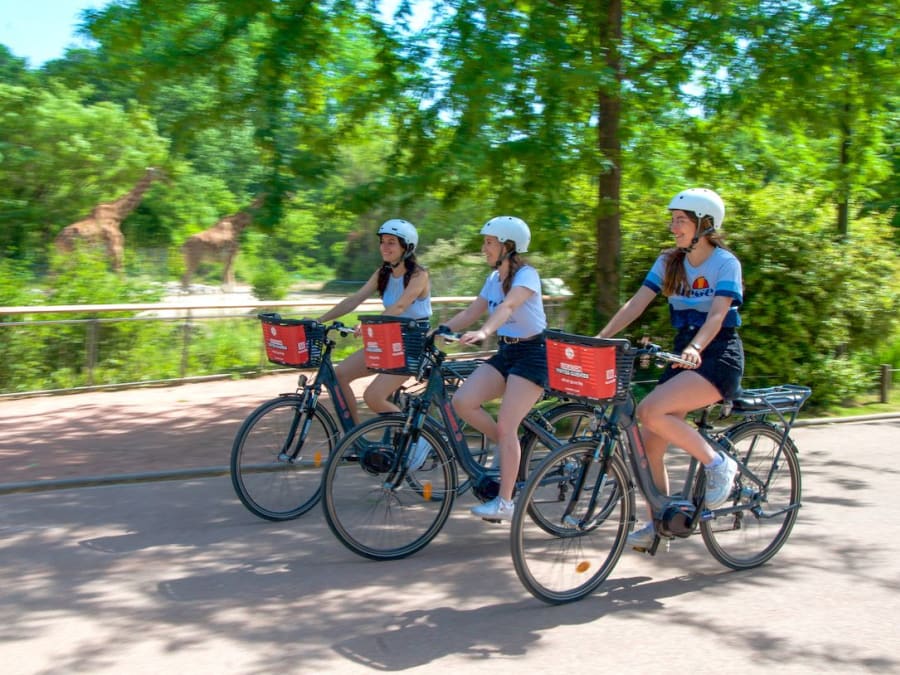 Visite du Parc de la Tête d'Or à Vélo électrique à Lyon  (69)