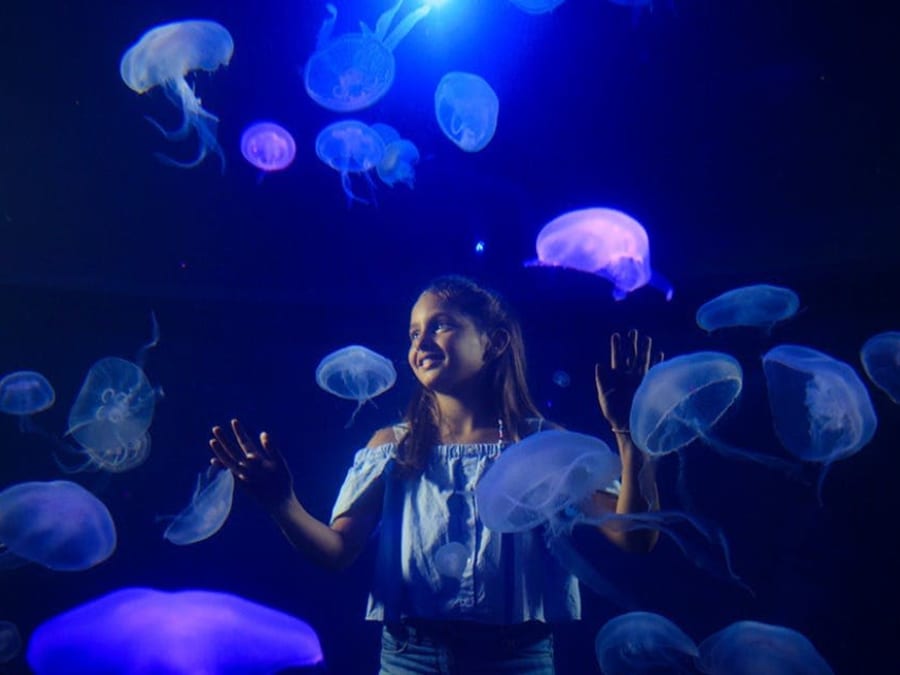 Entrada sin colas para el Acuario de Palma de Mallorca