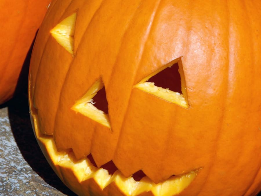 Escultura de calabaza de Halloween en la Granja Viltain (78)