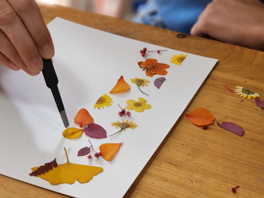 Atelier création d'un herbier  à Mouvaux (59)