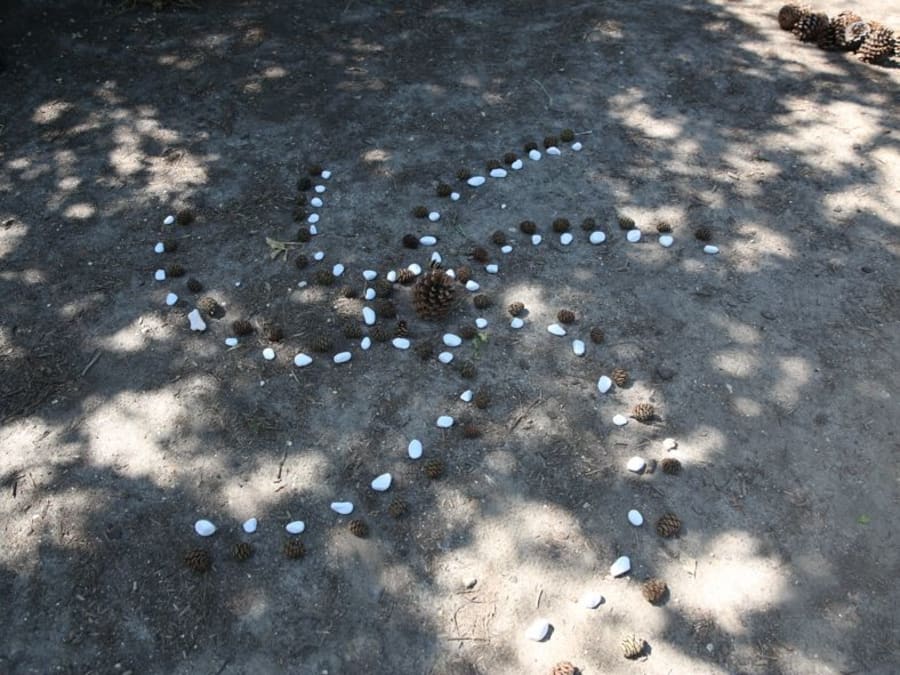 Marche sensorielle & Land Art éphémère au Parc de St Cloud