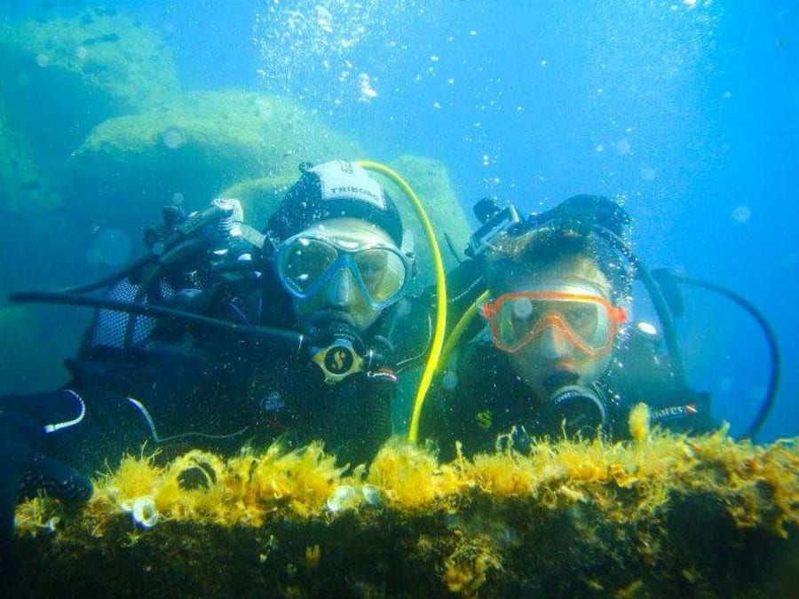 Formation brevet de plongée aux Iles Sanguinaires (20)