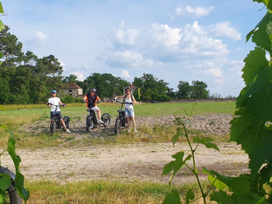 Paseo en scooter con degustación de vinos en Léognan (33)