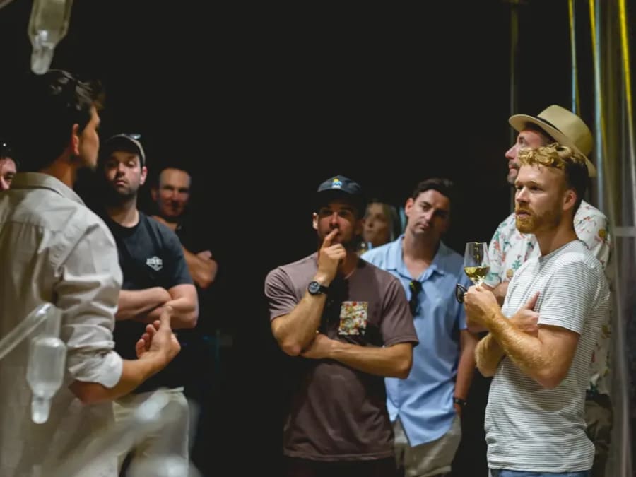 Visite d'une Cave et la dégustation de vins au domaine Achillée 