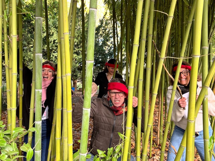 Team Building Rallye urbain à Amboise (37)