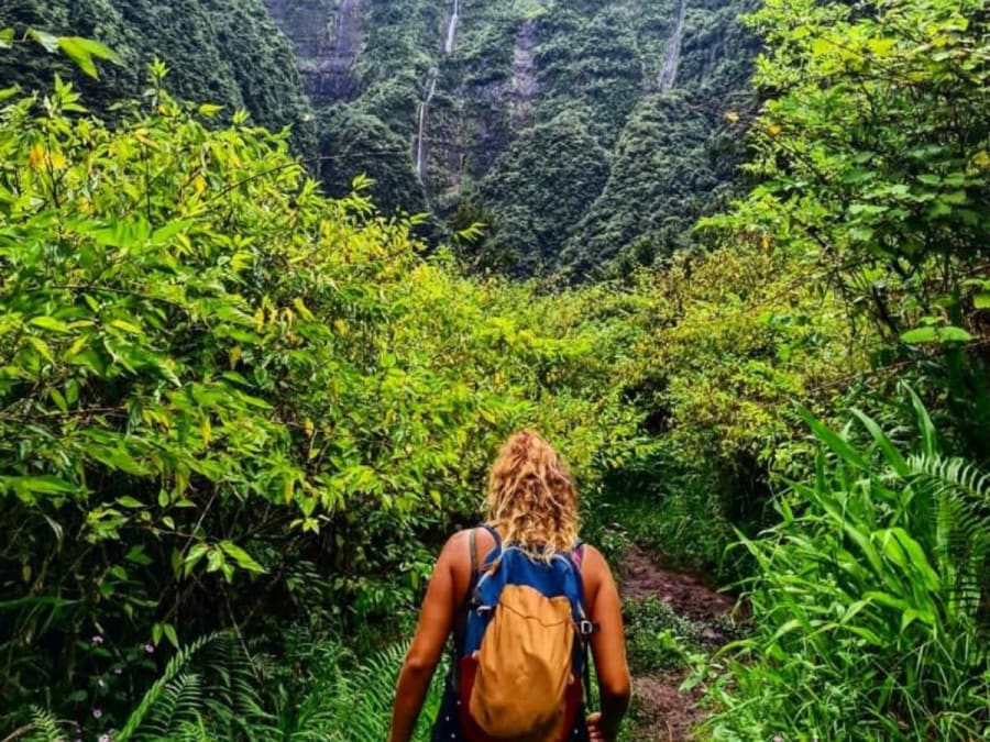 Escursione al Trou de Fer a La Réunion (97)