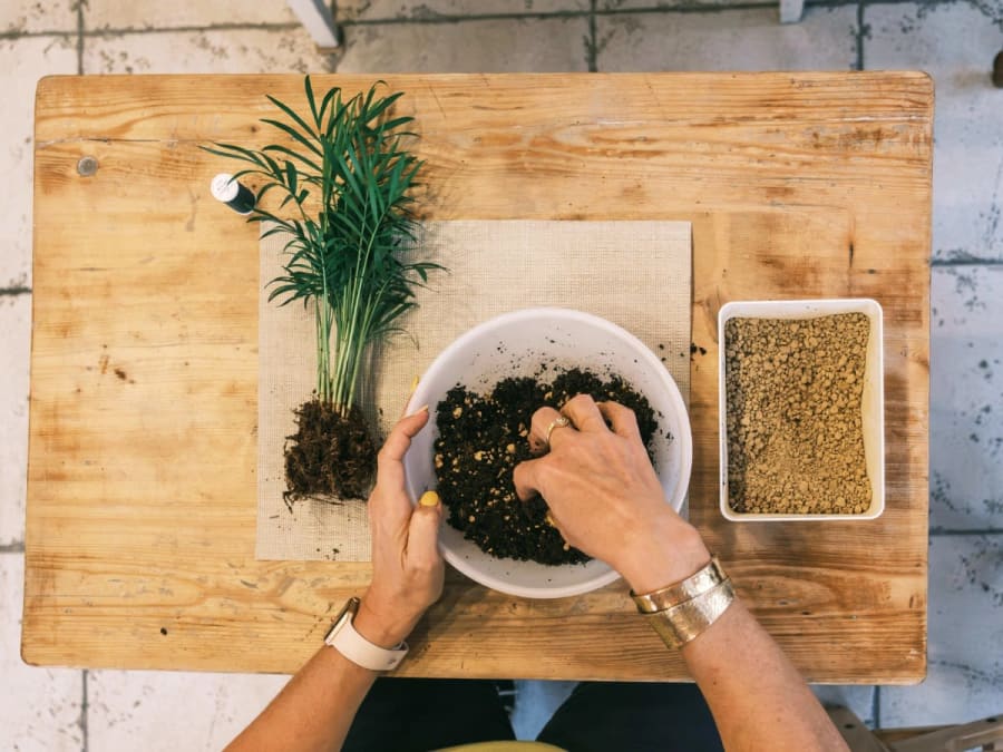 Kokedama workshop in Grenoble (38)