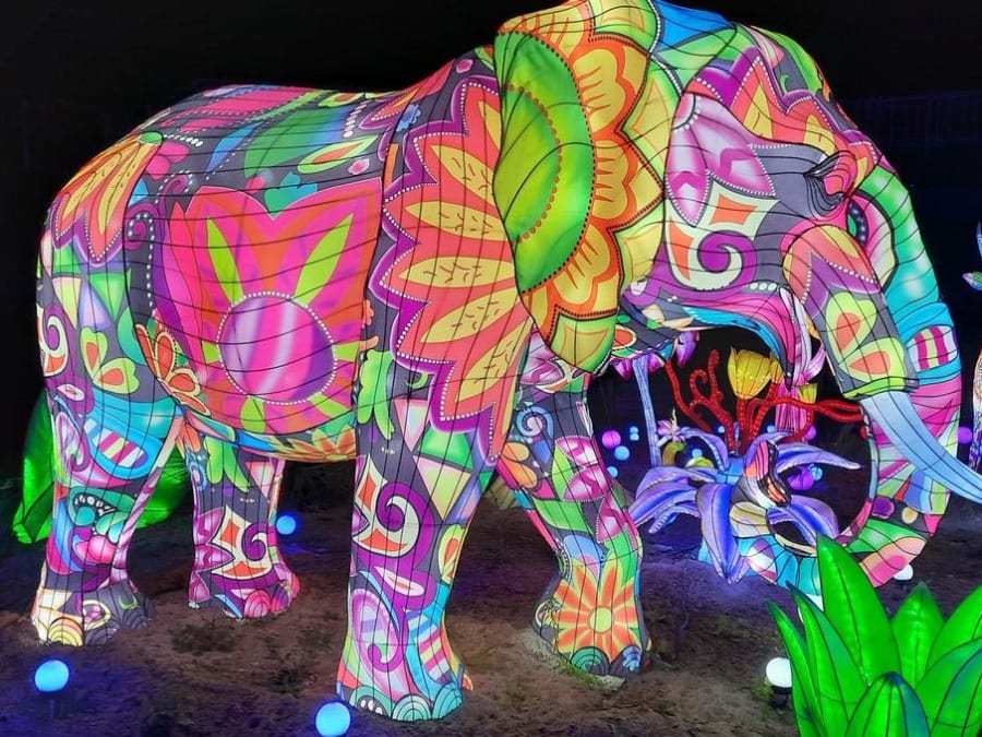 Entrada para el zoo de Amnéville (57)