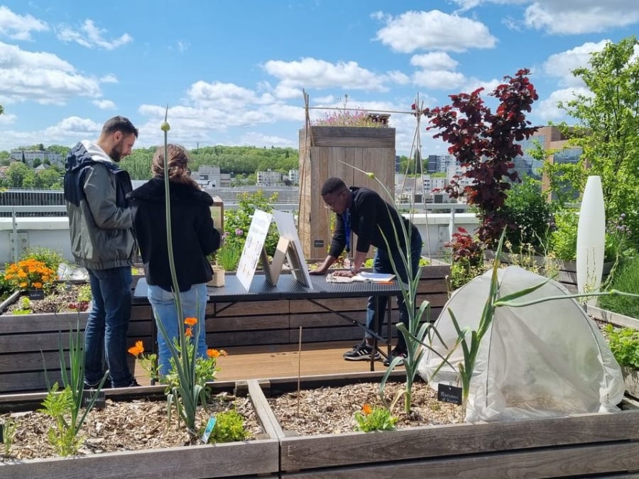Team building Escape Game à la ferme à Paris 15ème