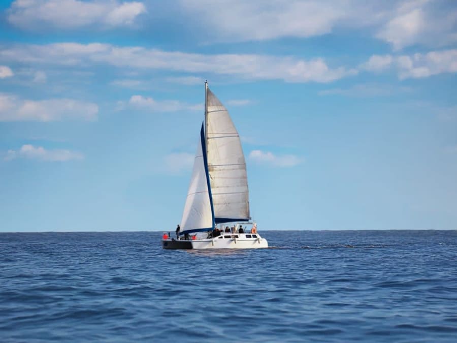 Balade en catamaran à voile à Noirmoutier (85)