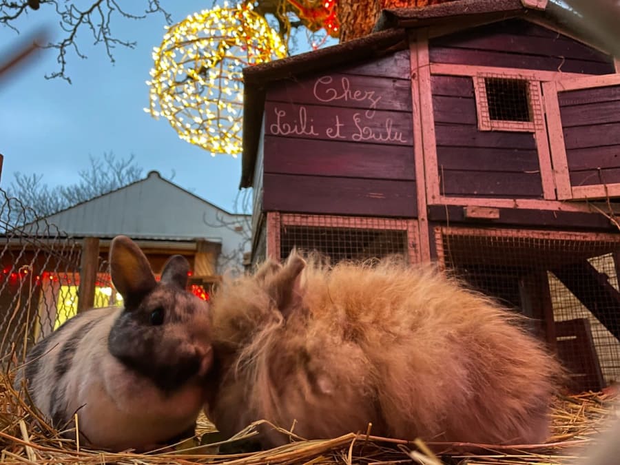 Festa «Inverno Maravilhoso» na Quinta de Gally, em St-Denis
