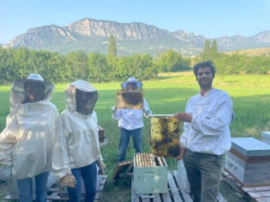 Team Building découverte de l'apiculture & dégustation de miel à Francillon (26)
