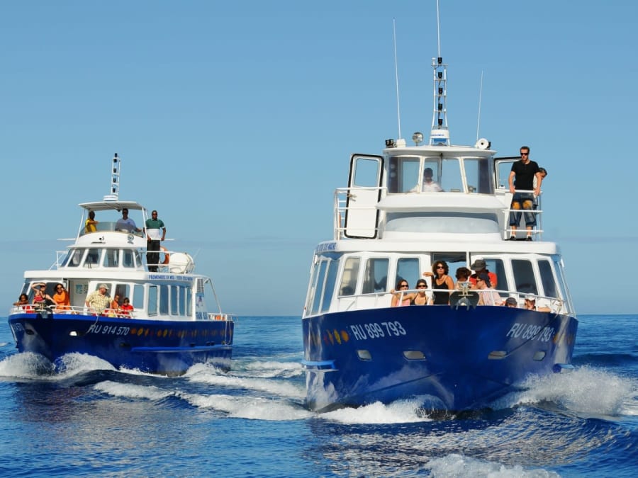 Croisière à la recherche des cétacés à Saint-Gilles-les-Bains