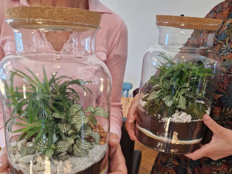 Taller de terrarios Talla M en Estrasburgo (67)