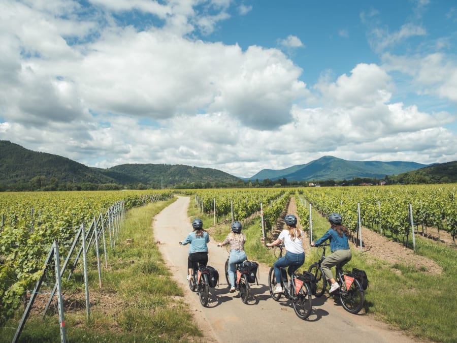 Un día en bicicleta por la ruta del vino desde Sélestat (67)