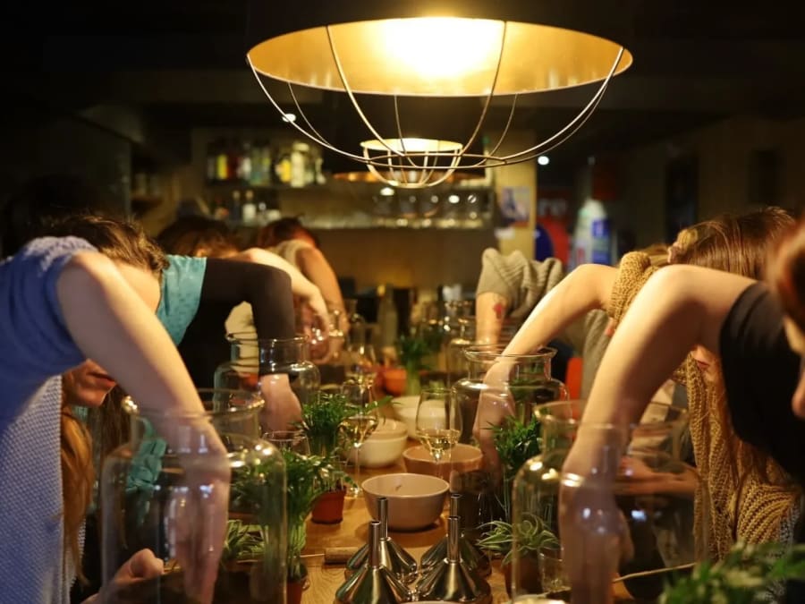 Taller de terrarios Talla M en Estrasburgo (67)