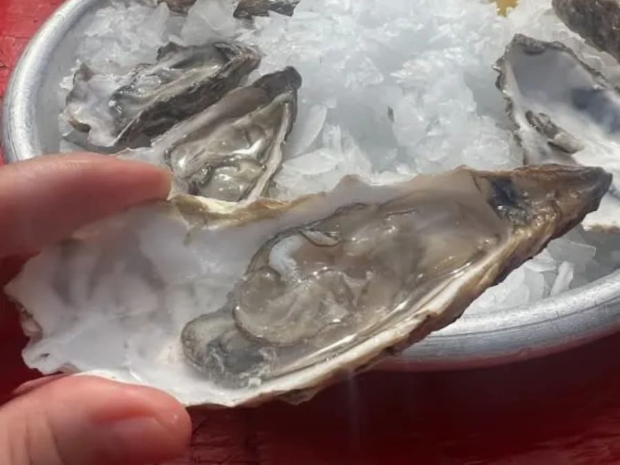 Balade gourmande du Marché de la Libération à Nice (06)