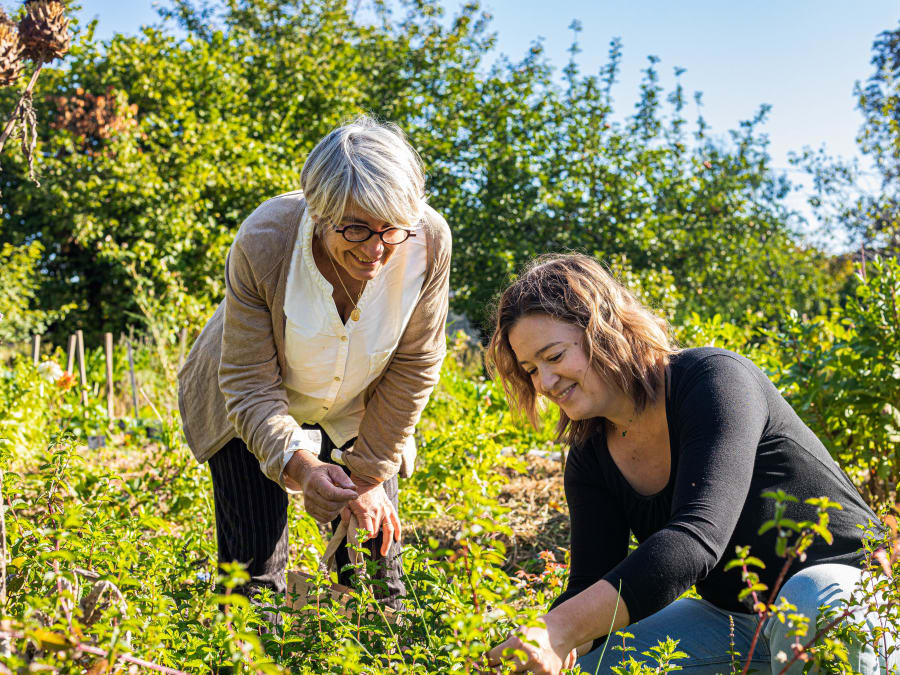 Team Building atelier découverte permaculture à Jarnac (16)