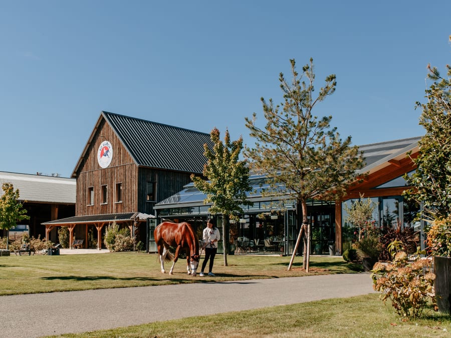 Bo Ranch à La Chapelle-la-Reine (77)