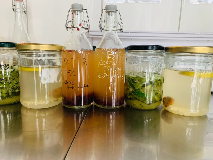 Soda and fermented syrup creation workshop in Toulouse (31)