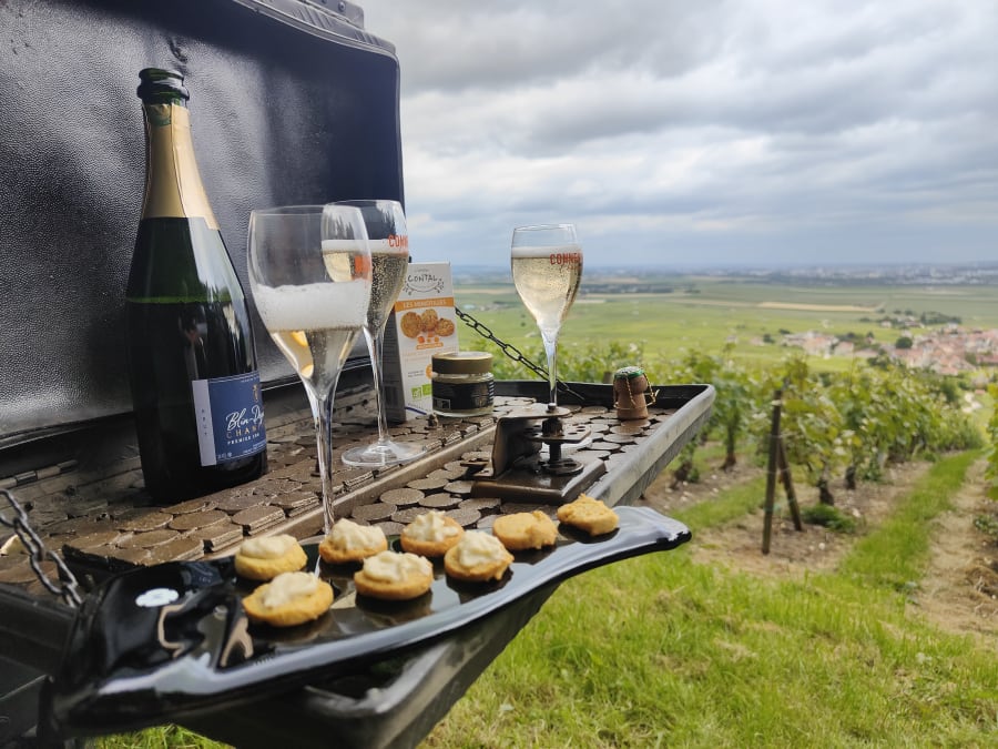 Visite de cave & balade dégustation dans les vignes de Champagne