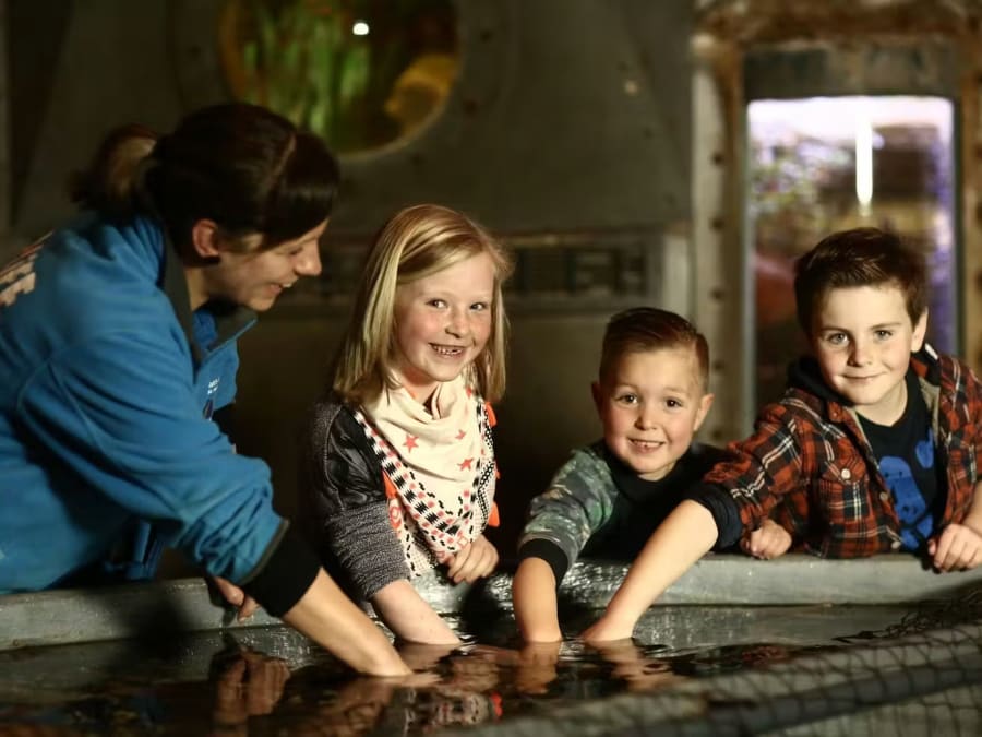 Billet d'entrée pour l'Aquarium Sea Life à Blankenberge