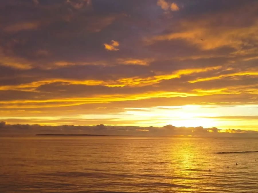 Balade en bateau au coucher de soleil à Châtelaillon-Plage (17)