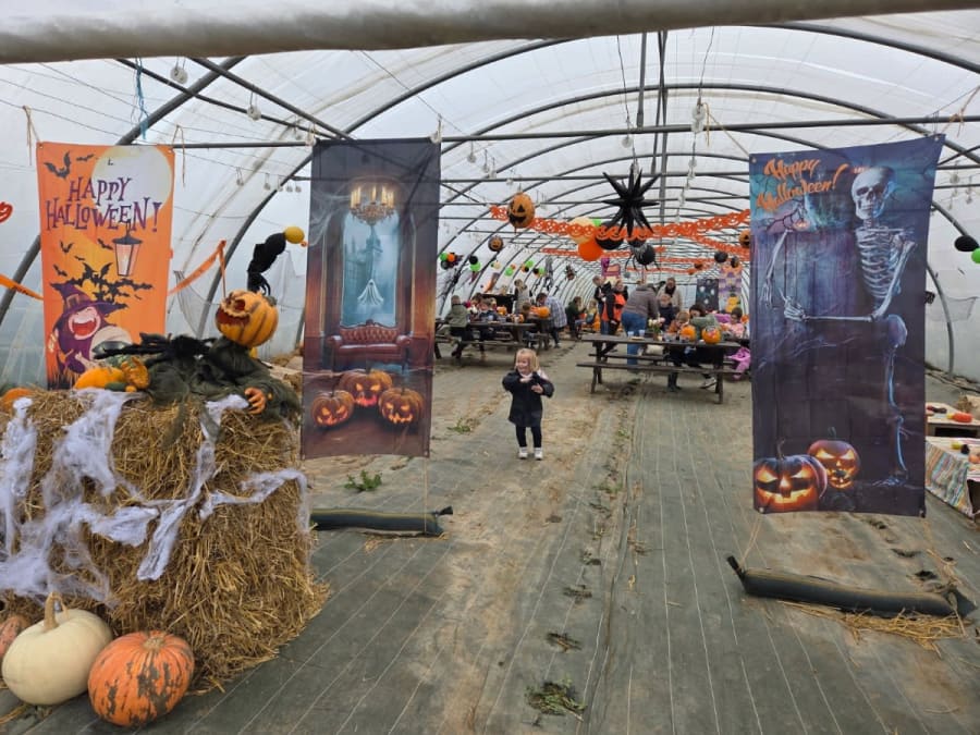 Atelier citrouille d'Halloween à la Cueillette de Beaurains (62)