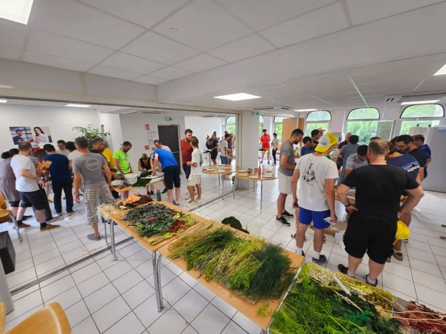 Team Building fresque végétale à Saint-Genis-Laval (69)