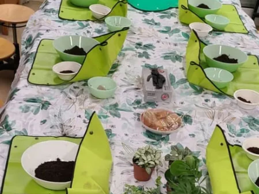 Team Building atelier kokedama en Île-de-France