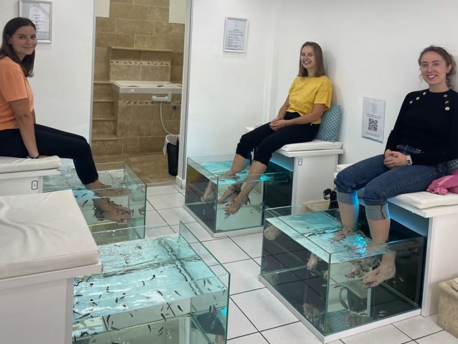 Fish Spa à Angers (49)