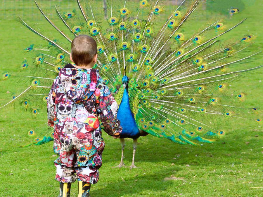 Taller para bebés en Lanvellec (22)