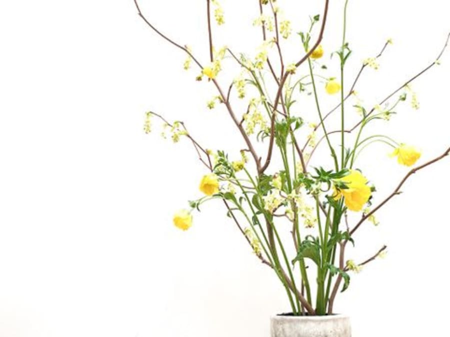 Taller de Ikebana en el distrito 10 de París