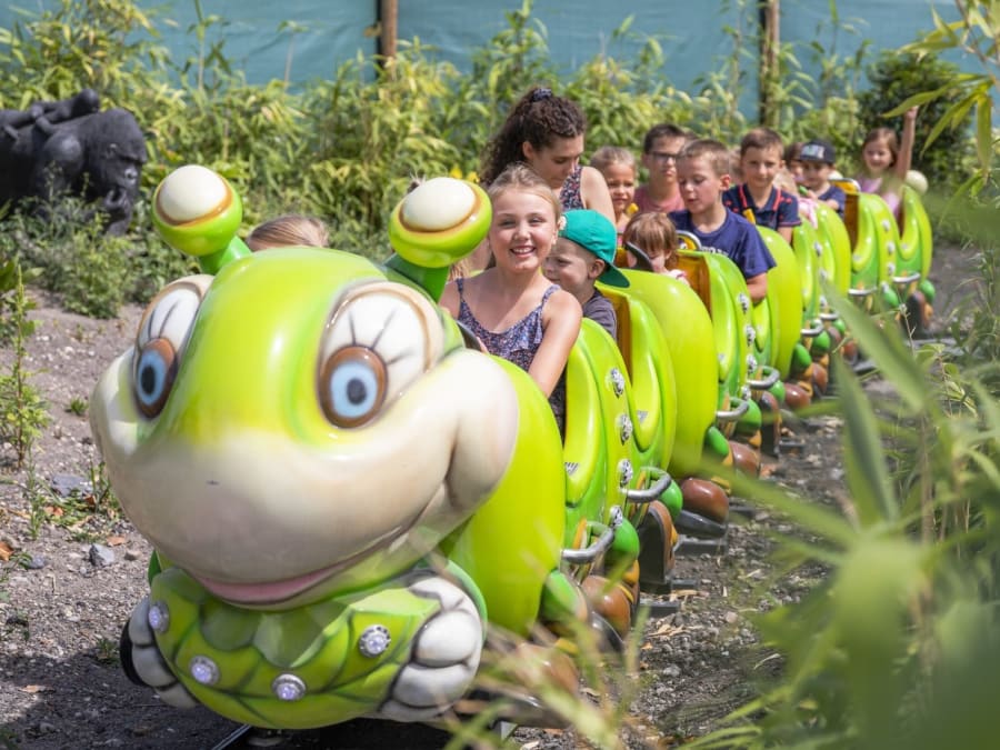 Entradas para Jungle City en Bélgica