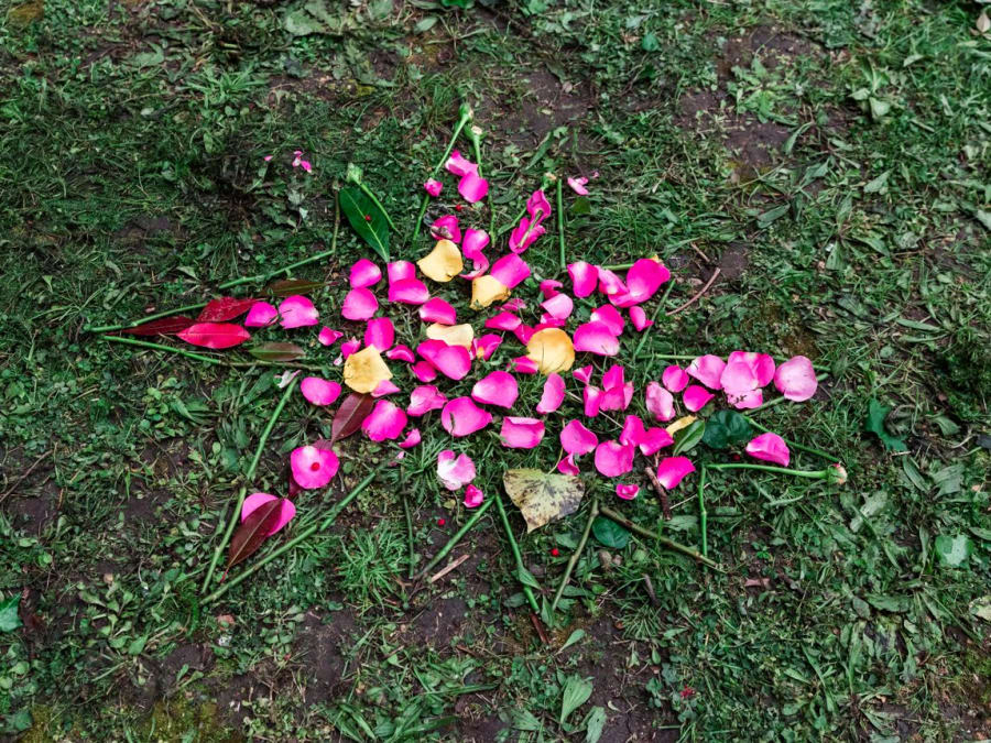 Anniversaire Land art 6-15 ans en Ile-de-France