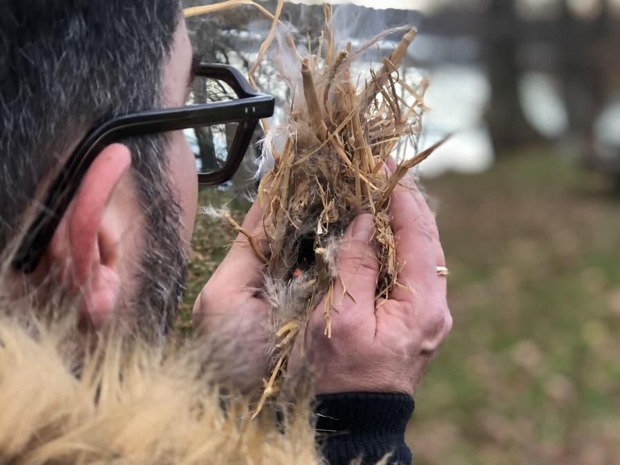 Stage de survie dans la forêt de Fougères (35)