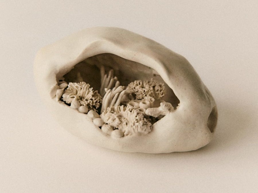 Atelier Céramique coraux et coquillages à Marseille 5ème 