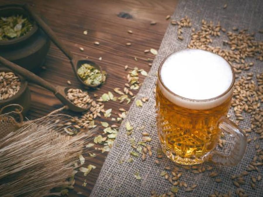 Brewing initiation workshop in Strasbourg (67)