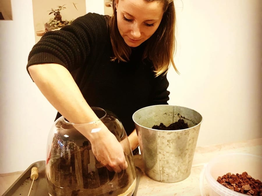 Team Building Atelier terrarium à Caluire-et-Cuire (69)