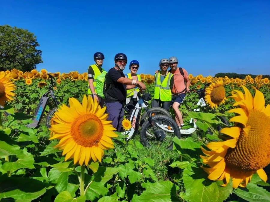 Team Building duo d'activités à Agen (47)