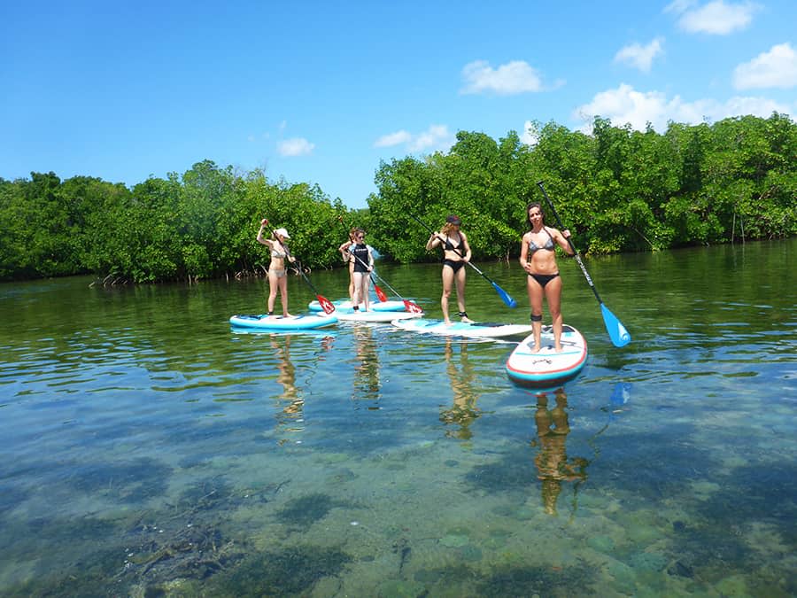 Excursion de l'Anse Babin en Stand Up Paddle en Guadeloupe (971)