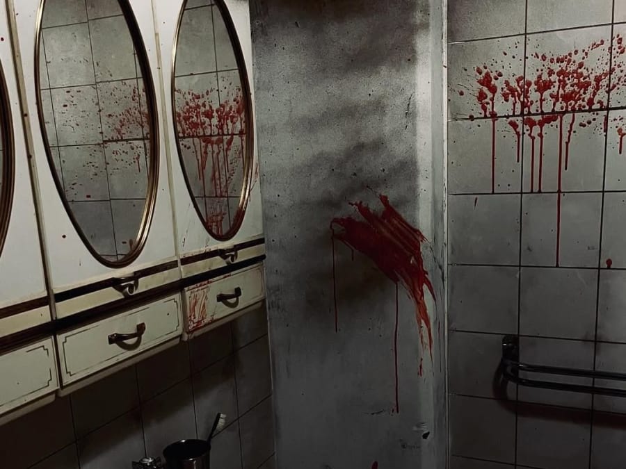 Horror Escape Game "Amy" in Nancy (54)