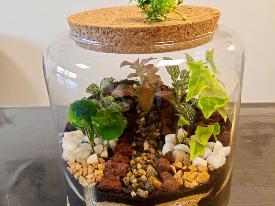 Team Building Terrarium &  Numérologie dans le Beaujolais (69)