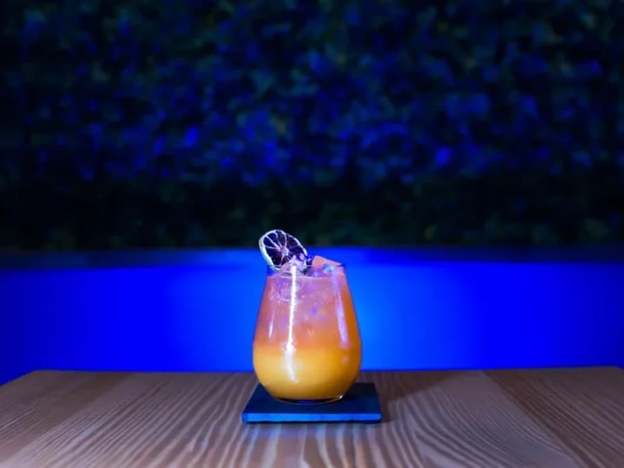 Cocktail creation workshop in Nice (06)