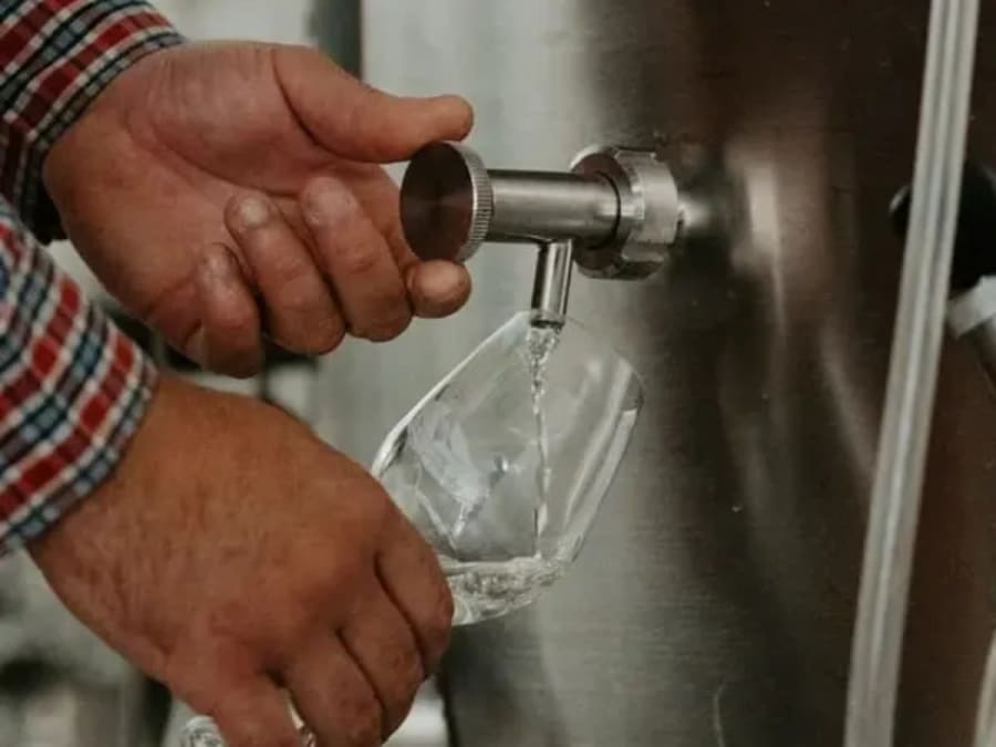 Team Building journée visite & dégustation vins et fromage (13)