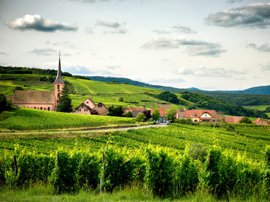 Self-guided rally on the Alsace Wine Route