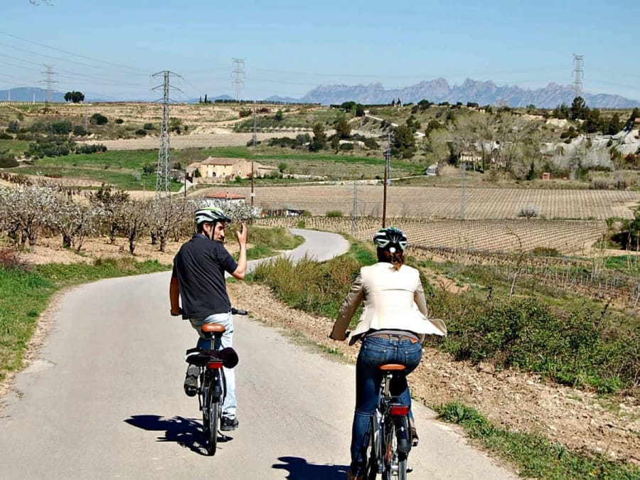 Fietstocht en kelderbezoek met wijnproeverij in de wijngaarden van Penedès