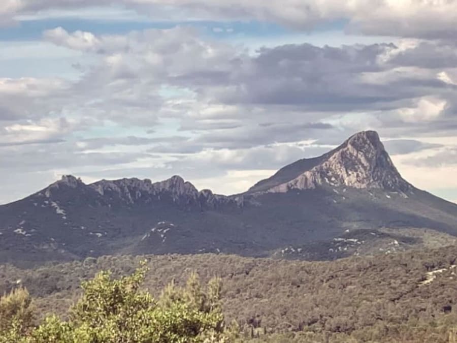 Passeio enoturístico de miniautocarro «Descoberta da região do Pic Saint Loup» 