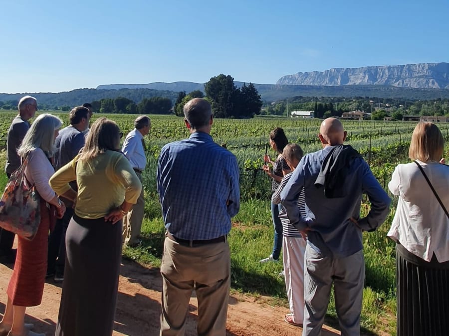 Team Building atelier assemblage de rosé à Rousset (13)