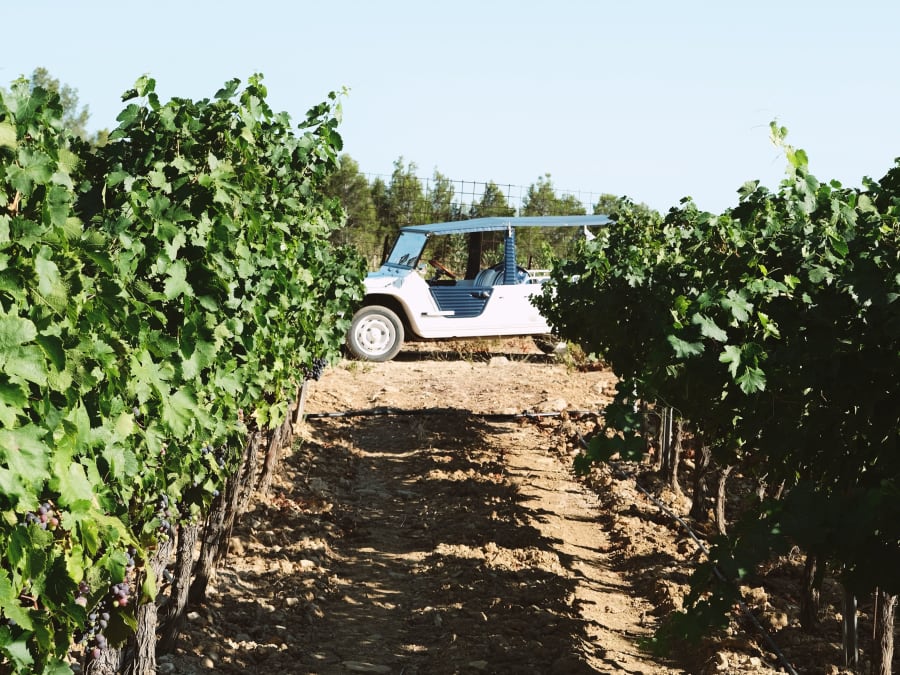 Balade en Méhari à Bandol (83)